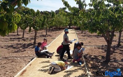 El programa de Educación Ambiental de Alicante Natura bate su récord de participación con 6.202 niños