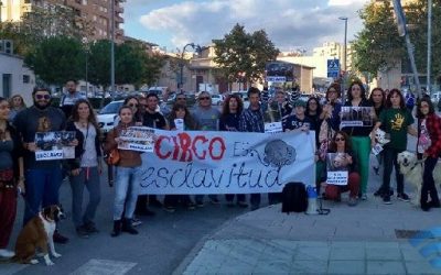 Animalistas de la provincia muestran su oposición en Elda a los circos con animales