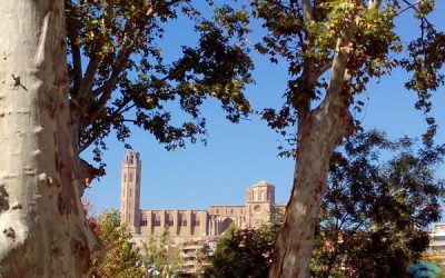 Municipalia 2015 Lleida, Sax estuvo allí