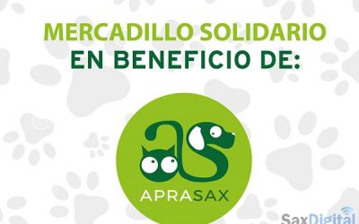 Mercadillo Solidario de APRASAX