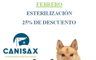 Mes de febrero Canisax, descuentos