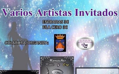 Concierto Solidario