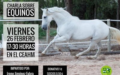 Charla sobre equinos en Sax