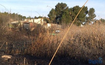 3000 metros cuadrados de carrizo y matorrales quemados en el Vinalopó