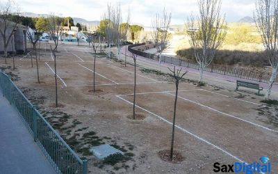 El cauce del rio Vinalopó se llena de vida en Sax