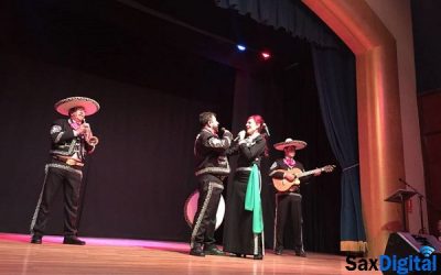 Artistas unidos por Ian