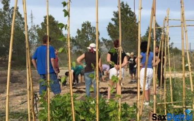 Agricultura Ecológica para Sax