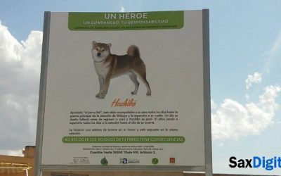 Campaña de concienciación para la retirada de excrementos de la vía pública