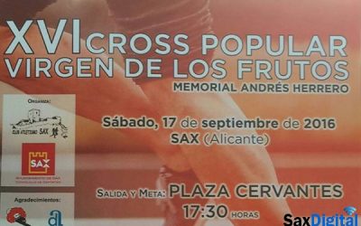 Cross Popular «Virgen de los Frutos», XVI edición
