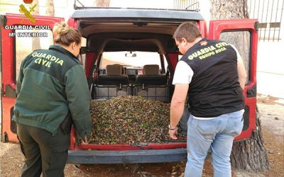 La Guardia Civil detiene en Sax a tres miembros de una misma familia por sustraer más de dos toneladas de almendra