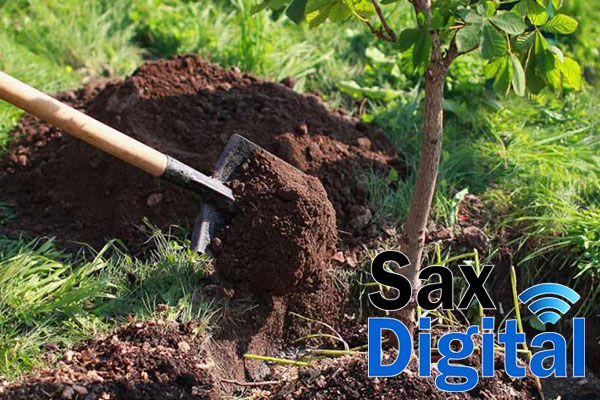 La generación del 67 plantara un árbol