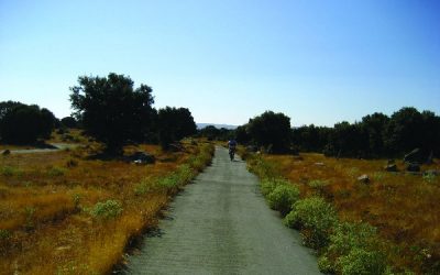 La Diputación destina 150.000 euros a mejorar caminos en una treintena municipios