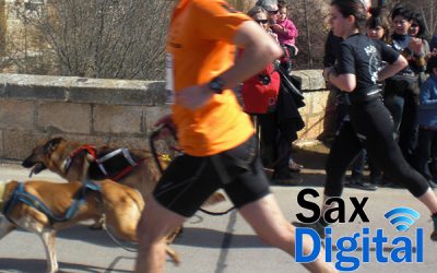 I Canicross “Villa de Sax”