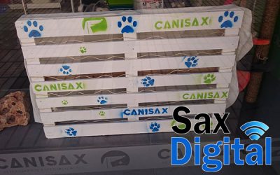 Se crea en Sax “el Muro de la Fama” especial para las mascotas