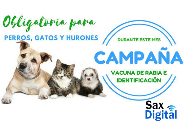 Campaña oficial de Vacunación Antirrábica e Identificación animal