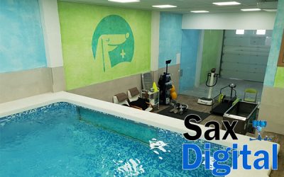 Abre en Sax el nuevo centro de fisioterapia y rehabilitación veterinaria Canisax