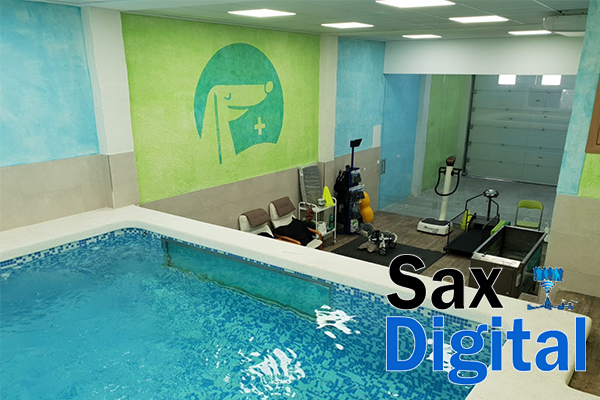 Abre en Sax el nuevo centro de fisioterapia y rehabilitación veterinaria Canisax