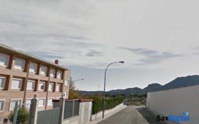 Dos perros peligrosos crean la alarma en Sax