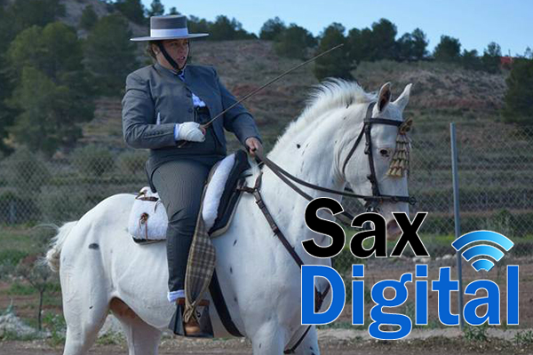 Doma Vaquera Sax