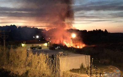 El Vinalopó arde por Sax