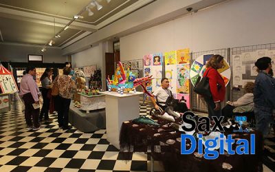La creatividad y el esfuerzo de las personas con discapacidad intelectual regresan al Palacio Provincial con Expocreativa 2018
