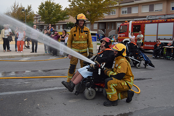 Fallas cocemfe