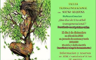 Taller Transgeneracional