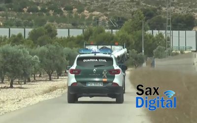 Más de 400 plantas de interior incautadas por la Guardia Civil de Sax