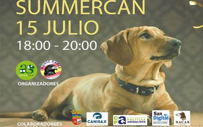 I Sumercan en Sax, la fiesta de las mascotas