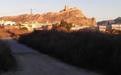 Informe sobre caminos
