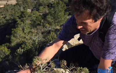 Sax alerta sobre el próximo aumento del precio de la basura