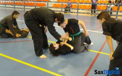 Seminario Nacional de Kenpo en Sax