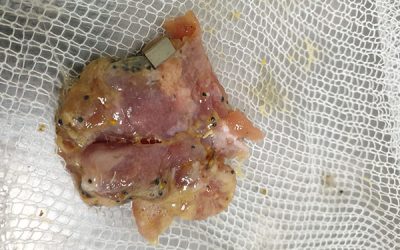 Se alerta sobre la aparición de salchichas con cuchillas por la zona del casco urbano