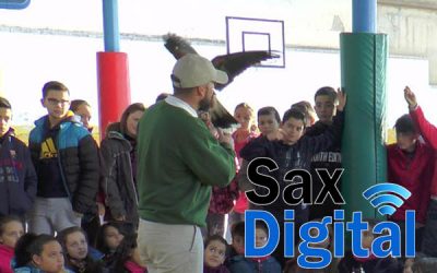 Los alumnos del Colegio Cervantes, conocen el mundo de las aves a través de Magic-Eagle