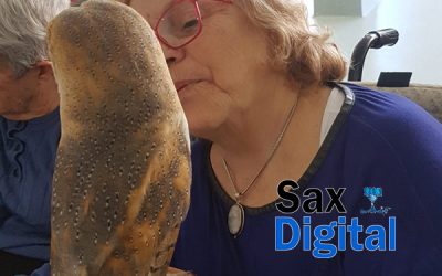 Intervención asistida con aves rapaces, para fortalecer la autoestima y la autoconfianza; «Magic Eagle»