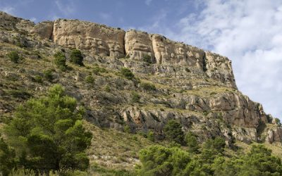 Se pone en marcha una nueva edición de los Campos de Voluntariado Ambiental