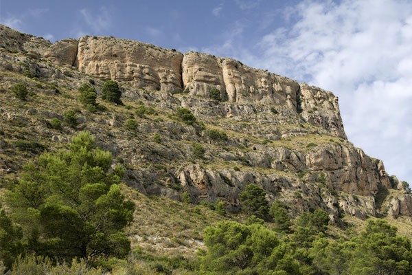 Montes