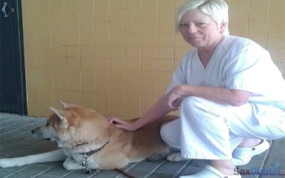 La lealtad de una mascota en el Hospital de Elda
