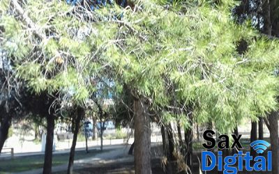 La Diputación aumenta un 22% el presupuesto de Medio Ambiente y llegará a los diez millones en 2021
