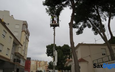 Finalizan los trabajos de poda de altura en los pinos de la Guardia Civil de Sax