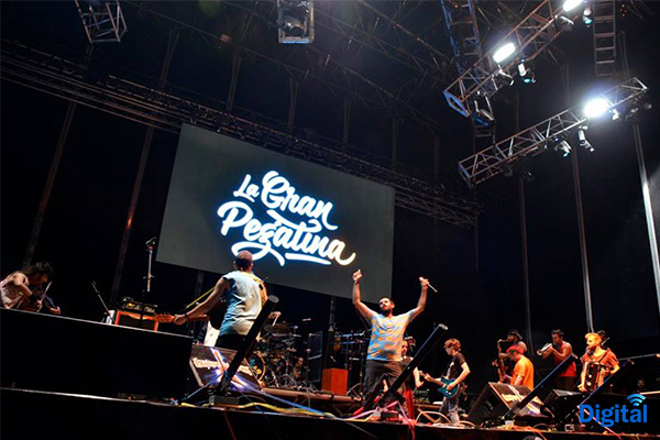 Rabolagartija Villena 2016