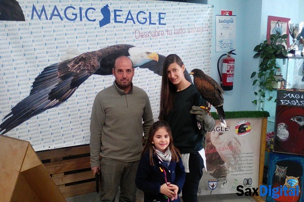 Safree Magic Eagle