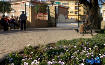 Servicios Sociales recibe subvenciones