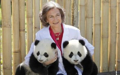 Doña Sofía visita Primadomus