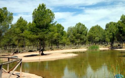 «El Plano», elegido para una nueva edición del programa de Educación Ambiental