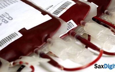 Donación de sangre en Sax, en mayo