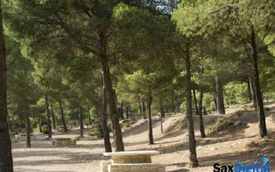 El Gobierno Provincial abre la convocatoria de ayudas para zonas verdes dotada con dos millones de euros