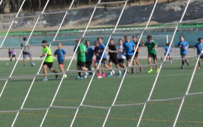 400.000 euros para ayudar a los deportistas de élite de la provincia de Alicante en su preparación