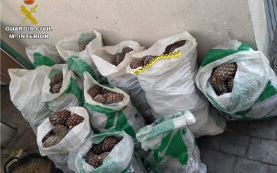 La Guardia Civil detiene e investiga a 18 personas por robos en el campo