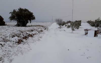 Una copiosa nevada ha dejado incomunicada a Sax